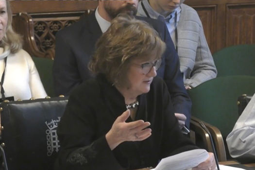 Professor Alexis Jay, chair of the IICSA, presented evidence from the inquiry to the education select committee. Picture: Parliamentline.tv