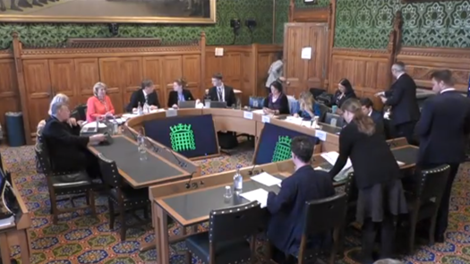 Workforce challenges must be addressed before reforming childcare, experts told MPs. Picture: ParliamentTV