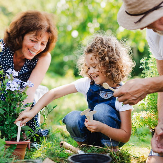 Increased use of kinship care and special guardianship orders will be prioritised by the ADCS. Picture: Adobe Stock