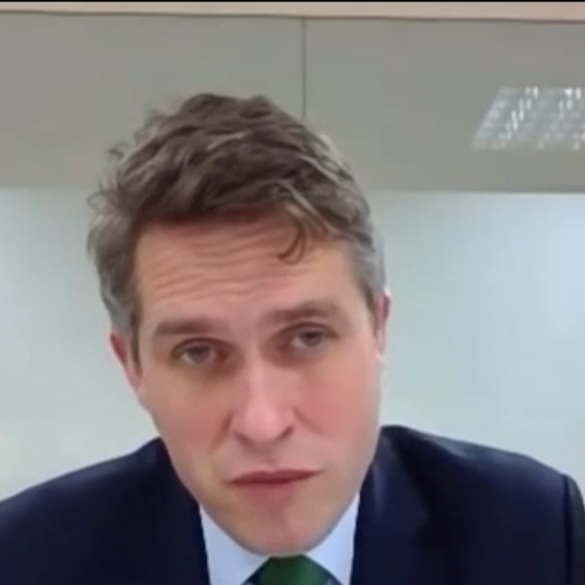 Gavin Williamson was quizzed over the impact of a third lockdown on children. Picture: Parliament TV