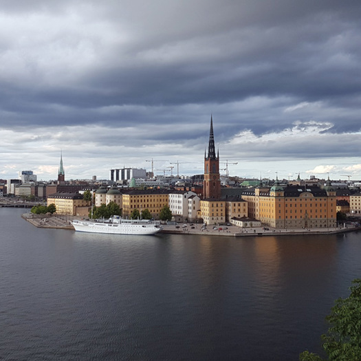 The recruitment of foster carers in Sweden is managed by a national board, potentially leading to greater economies of scale
