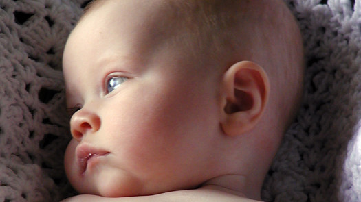 A third of babies taken into care in the study had a parent with a learning difficulty. Picture: Morguefile