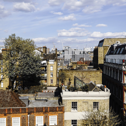 Islington cites trauma-informed practice with enabling a better grasp of the impact of the pandemic on vulnerable children. Picture: Flexmedia/Adobe Stock