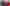 Picture: jelenaaloskina/Adobe Stock