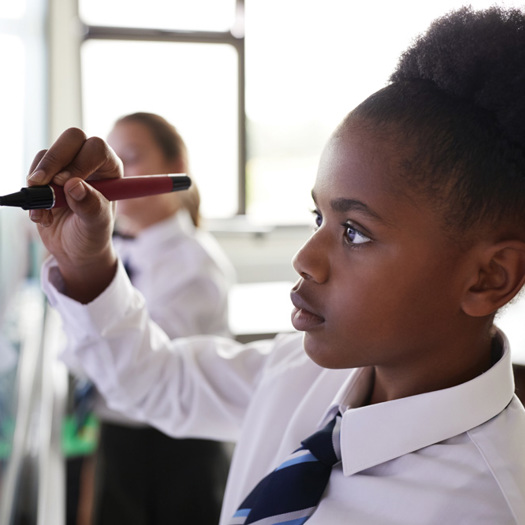 Evidence shows the mental health impact of the pandemic varies from child to child. Picture: Monkey Business/Adobe Stock