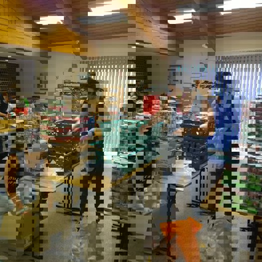 The government has pledged to fund food distribution charities. Picture: Sustain