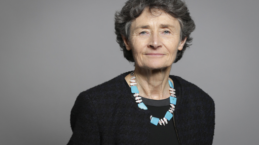 Baroness Morris of Yardley: 'Unless the proposals go further and faster, the strategy will leave many children behind.' Picture: UK Parliament
