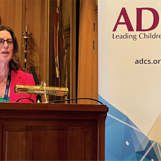 Surrey County Council's Rachael Wardell makes her inaugural speech as president of the Association of Directors of Children's Services