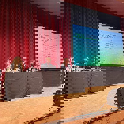 Kelly Taylor (left) speaks on a panel around kinship care at this year's NCASC conference. Picture: ADCS/Twitter