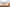 Picture: Adobe Stock