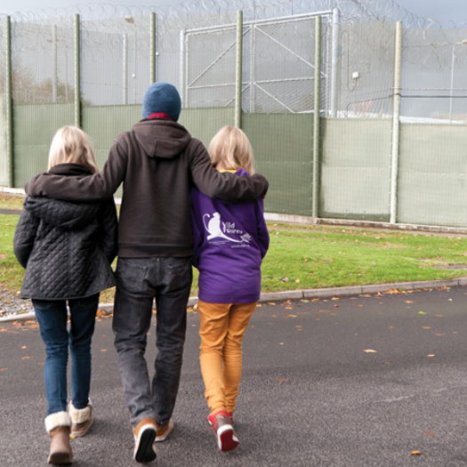 Visits to young people in youth custody have now resumed, a minister has said 