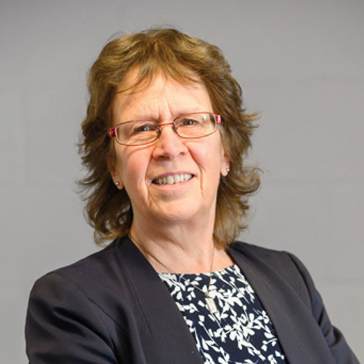 The LGA's Judith Blake said it is 'essential that the right services can be there to support [families] and help them cope'. Picture: LGA