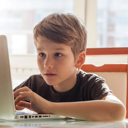 Schools are exploring how techniques developed during lockdown could be used for anxious or excluded pupils. Picture: Mamika/Adobe Stock