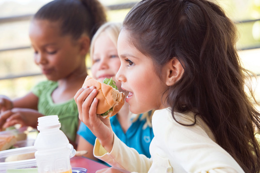 Multiple tools will be required to help children and families live healthier lives. Picture: Monkey Business/Adobe Stock