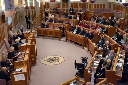 Wigan Councillors pass a motion to recognise care experience as a protected characteristic. Picture: Rorey Scriven/Twitter