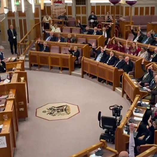 Wigan Councillors pass a motion to recognise care experience as a protected characteristic. Picture: Rorey Scriven/Twitter
