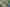 Picture: pikselstock/Adobe Stock