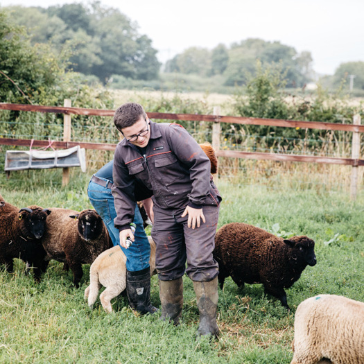 Future Roots works to create a feeling of safety and belonging for young people, providing them with unique opportunities to gain skills and qualifications on the farm. Picture: Future Roots