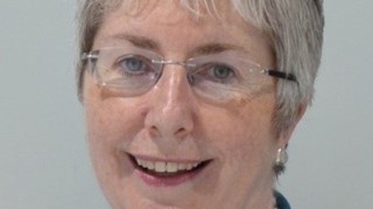 Gail Tolley is director of children and young people at Brent Council. Picture: ADCS