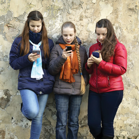 Studies observed the convergence of offline and online networks as a developing risk. Picture: jelenaaloskina/Adobe stock