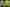 Two police officers were also injured. Picture: Adobe Stock