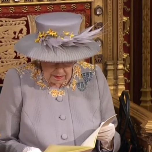 The Queen announced the new legislation during her 67th Queen's Speech. Picture: Twitter/House of Lords