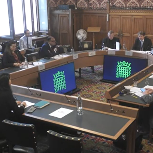 Disadvantaged parents will struggle to access expanded childcare provision, experts told the education select committee. Picture: Parliament.TV
