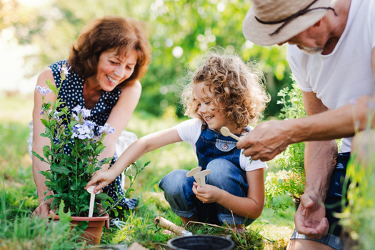 The Family Rights Group is calling for government to publish a definition of kinship care. Picture: Adobe Stock