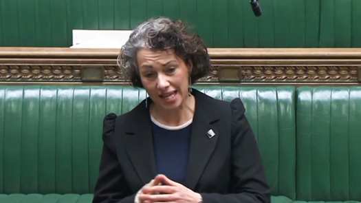 Sarah Champion is former shadow women and equalities minister. Picture: Parliament TV